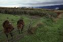 WT 0200 045-03 New Zealand